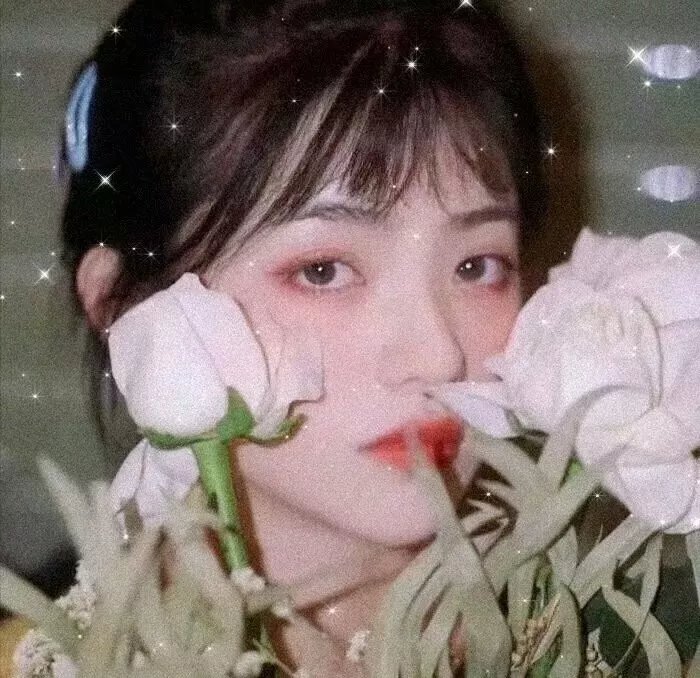 你是我的荣耀